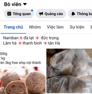 Bò viên