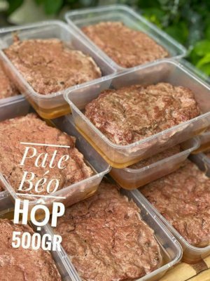 PATE GAN BÉO