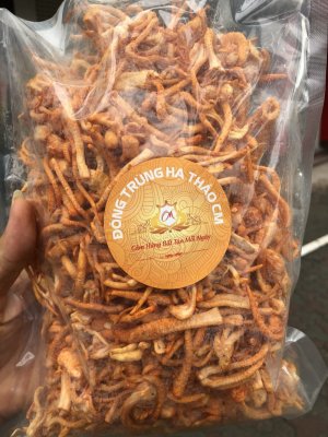 Sợi nấm đông trùng hạ thảo tươi- Công ty TTHH Công nghê Vĩnh Khang-ĐT: 0982999669