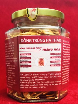 Sợi nấm đông trùng hạ thảo sấy thăng hoa- Công ty TTHH Công nghê Vĩnh Khang-ĐT: 0982999669