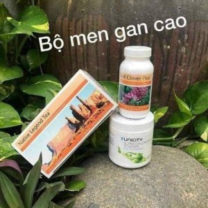 Bộ men gan cao Uni
