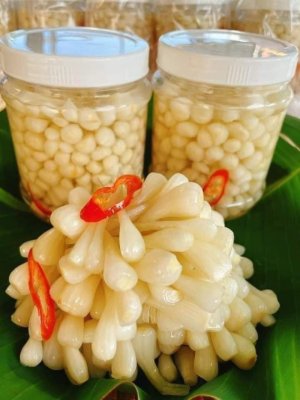KIỆU HUẾ NGÂM ĐƯỜNG
