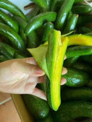 BƠ 034 LÂM ĐỒNG