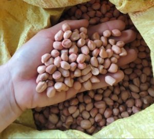 Lạc loại 1( 1kg )