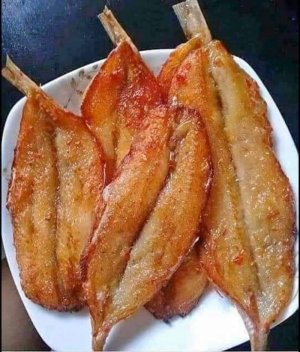 CÁ MỐI RÚT XƯƠNG