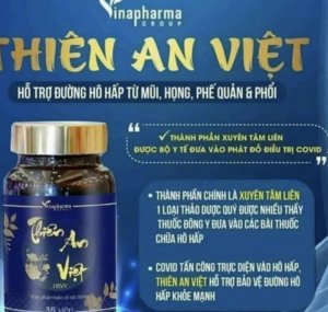 Thiên An Việt