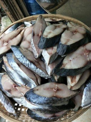 CÁ THU 1 NẮNG