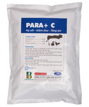 PARA C – HẠ SỐT – GIẢM ĐAU – TĂNG LỰC - Gói 1Kg (10 gói nhỏ)