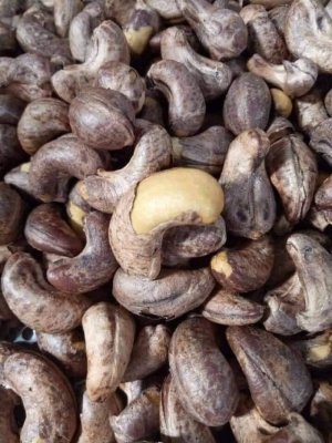 HẠT ĐIỀU NGUYÊN VỎ BÌNH PHƯỚC