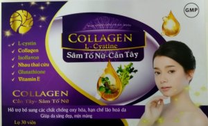 SÂM TỐ NỮ - CẦN TÂY