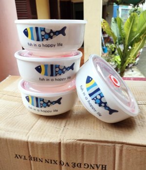 TÔ SỨ