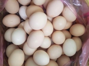 Trứng gà (10 quả)