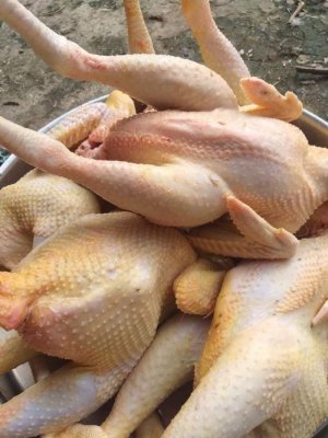 GÀ LÀM SẠCH