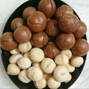 HẠT MACCA