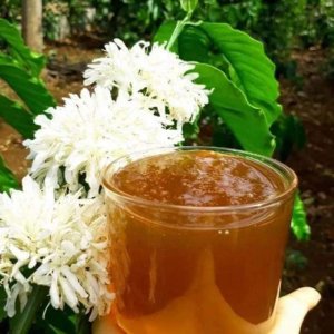Thực phẩm