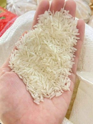 GẠO ST 25 Túi 10 KG