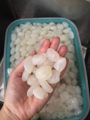 HẠT ĐÁC TƯƠI