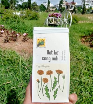 Bột bồ công anh