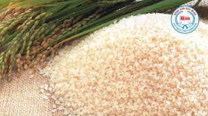 Gạo Nếp Cái Hoa Vàng