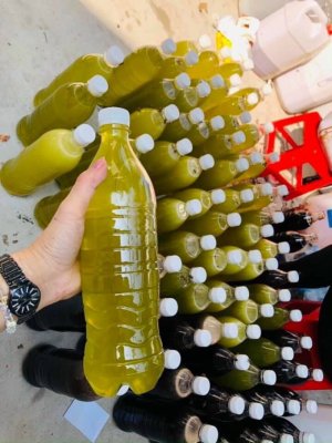 Mật Ong Bạc Hà Tây Bắc