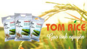 Gạo Thơm Tom rice An Đình - 5kg ( shop Yến Hiếu Hưng Yên)