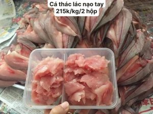 CÁ THÁC LÁC NẠO TAY