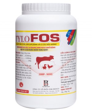 KHÁNG SINH PHỔ RỘNG – TRỊ TỤ CẦU KHUẨN – NHIỄM TRÙNG HUYẾT - TYLOFOS – Lon 1Kg (10 in1)
