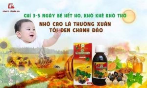 COMBO 5 HỘP CAO LÁ THƯỜNG XUÂN TỎI ĐEN CHANH ĐÀO