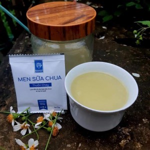 MEN SỮA CHUA THUẦN CHAY (hộp 5goi)