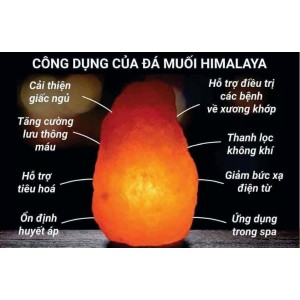 Đèn Đá Muối Himalaya ( 3,5kgx130k)
