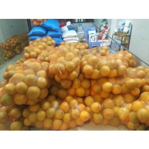 BƯỞI ĐÀO ĐƯỜNG