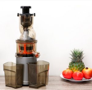 Máy ép chậm Kangaroo KG200SJ