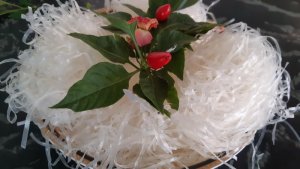Compo phở khô
