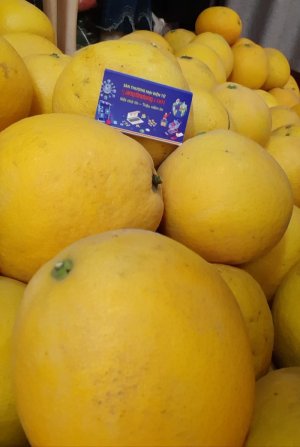 Bưởi Diễn