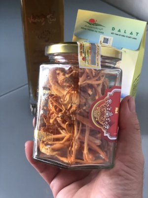 Đông trùng hạ thảo khô 5 gram