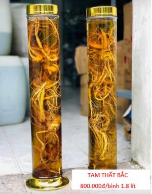 RƯỢU TAM THẤT BẮC