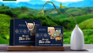 CÔM BO CHÈ BẢN VEN