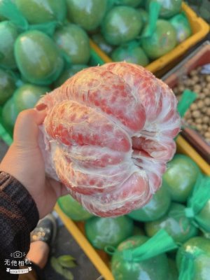 BƯỞI HỒNG DA XANH BẾN TRE