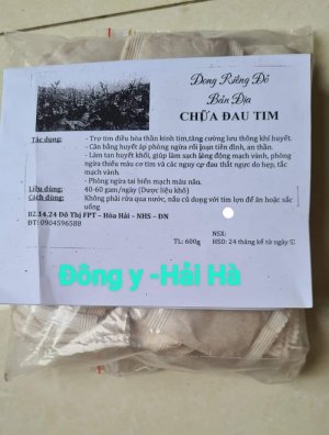 TRÀ DONG GIÊNG ĐỎ ( TRÀ TIM)