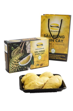SẦU RIÊNG NGON ĐÃ CÓ SACHICA