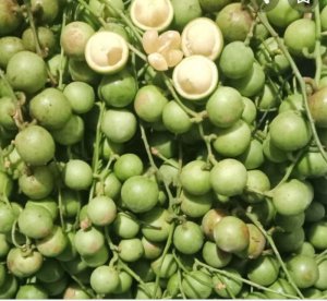 DÂU XANH MIỀN TÂY