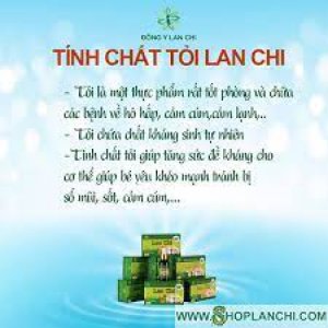 TINH CHẤT TỎI LAN CHI