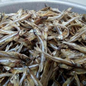 Cá Ruội - Cá Cơm khô