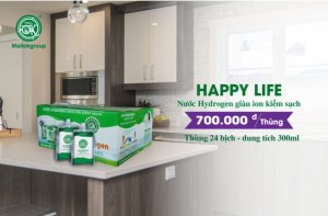 NƯỚC HAPPY LIFE (1 THÙNG/ 24 BỊCH)