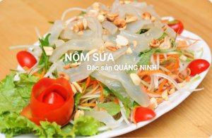 ♻️?NỘM SỨA ĐẶC SẢN QUẢNG NINH ?♻️