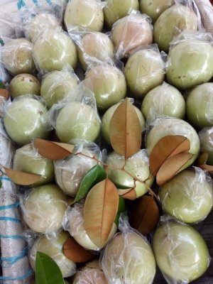 VÚ SỬA LÒ RÈN VĨNH KIM