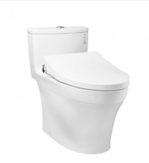 Bồn cầu TOTO MS885DE4 MỘT KHỐI NẮP CƠ