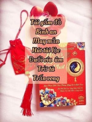 COMBO 5 HỘP BỘT PHONG THỦY ALOFA VIỆT NAM
