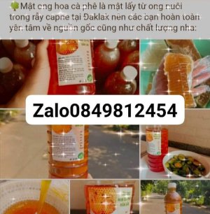 Mật ong tây nguyên