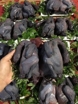 GÀ ÁC. ( gà đen ) tần thuốc bắc
